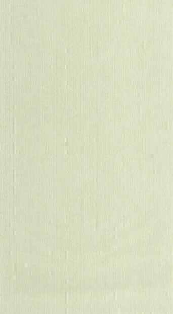 Caselio Borneo (incl. Gratis Lijm*) BORN106017300 - Groen