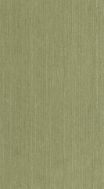 Caselio Borneo (incl. Gratis Lijm*) BORN106017450 - Groen