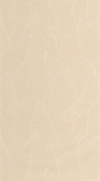 Caselio Borneo (incl. Gratis Lijm*) BORN106500010 - Beige