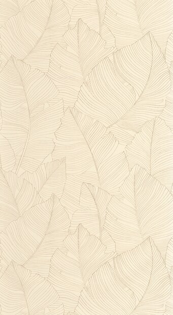 Caselio Borneo (incl. Gratis Lijm*) BORN106502017 - Beige