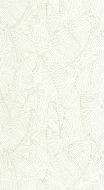 Caselio Borneo (incl. Gratis Lijm*) BORN106507050 - Groen