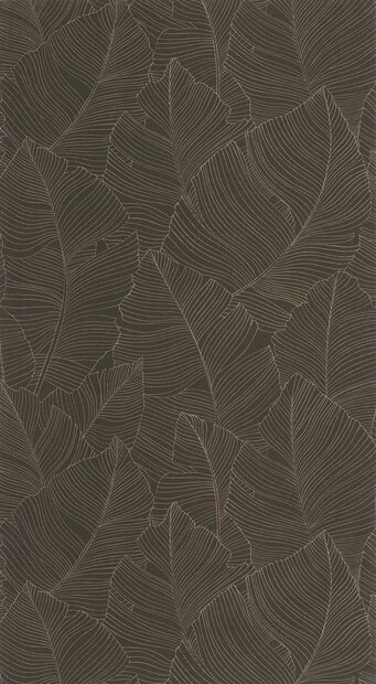 Caselio Borneo (incl. Gratis Lijm*) BORN106509027 - Bruin