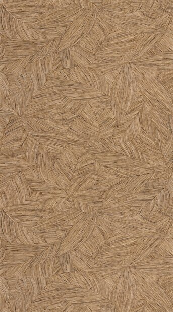 Caselio Borneo (incl. Gratis Lijm*) BORN106512155 - Bruin