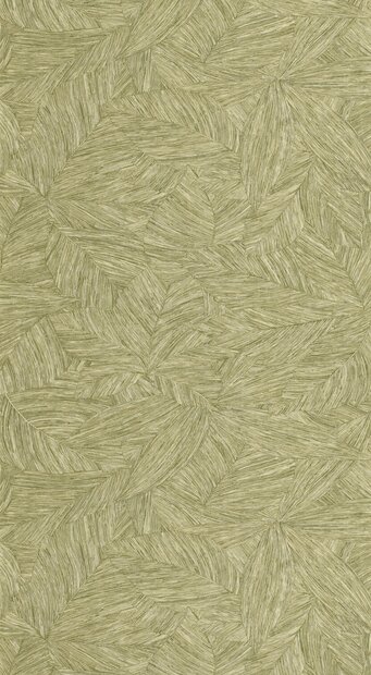 Caselio Borneo (incl. Gratis Lijm*) BORN106517187 - Groen