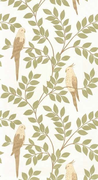 Caselio Borneo (incl. Gratis Lijm*) BORN106527070 - Groen