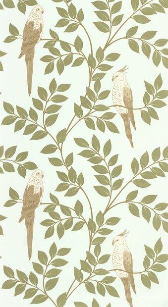 Caselio Borneo (incl. Gratis Lijm*) BORN106527162 - Groen