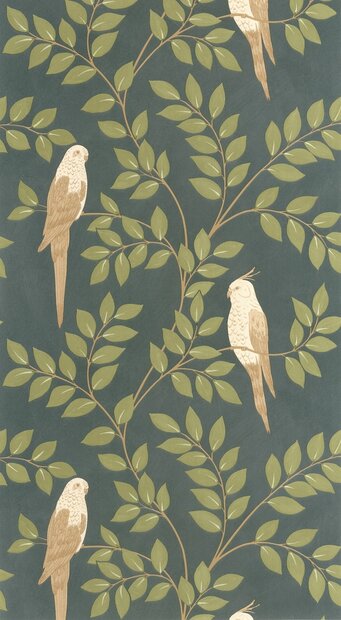 Caselio Borneo (incl. Gratis Lijm*) BORN106527254 - Groen