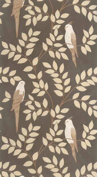 Caselio Borneo (incl. Gratis Lijm*) BORN106529023 - Beige