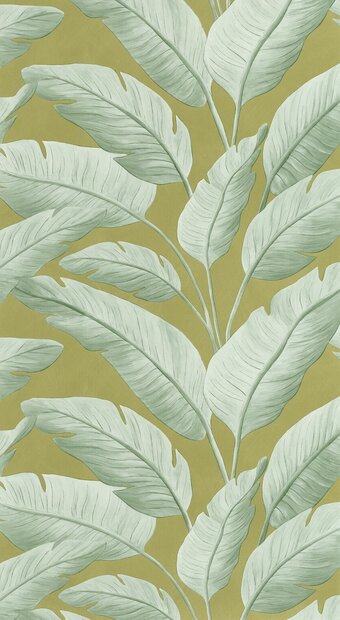 Caselio Borneo (incl. Gratis Lijm*) BORN106547122 - Groen