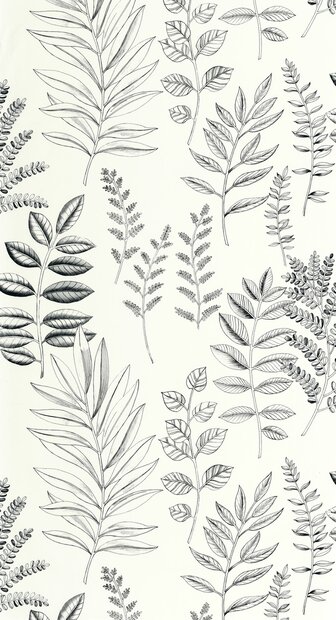 Caselio Art of Botany (incl. Gratis Lijm*) AOB106660990 - Zwart