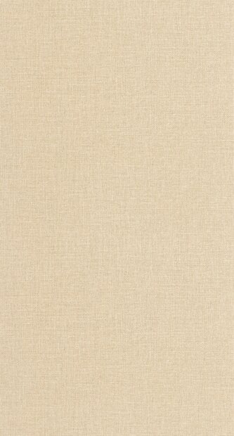 Caselio Jute 2 (incl. Gratis Lijm*) JUT104011456 - Beige