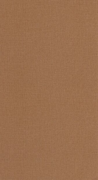 Caselio Jute 2 (incl. Gratis Lijm*) JUT104012060 - Bruin