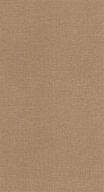 Caselio Jute 2 (incl. Gratis Lijm*) JUT104012112 - Bruin