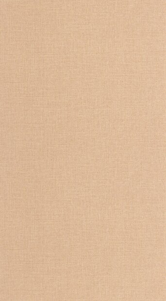 Caselio Jute 2 (incl. Gratis Lijm*) JUT104013210 - Oranje