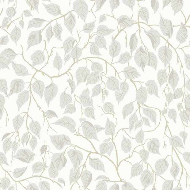 Dutch First Class Ester (incl. Gratis Lijm*) 20106