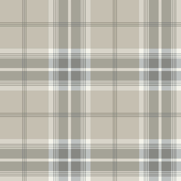 Dutch First Class Ester (incl. Gratis Lijm*) 20130