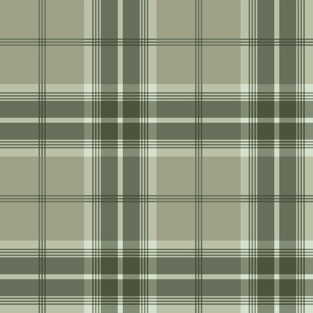 Dutch First Class Ester (incl. Gratis Lijm*) 20131