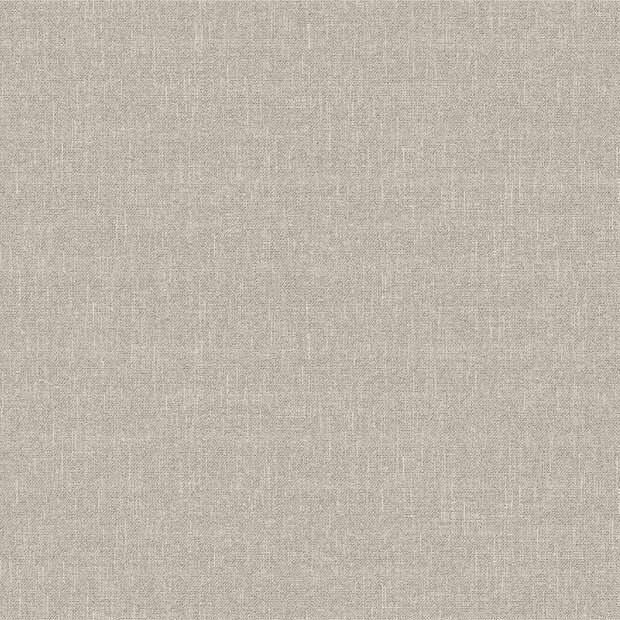 Dutch First Class Serenity (incl. Gratis Lijm*) SY27503 Greige