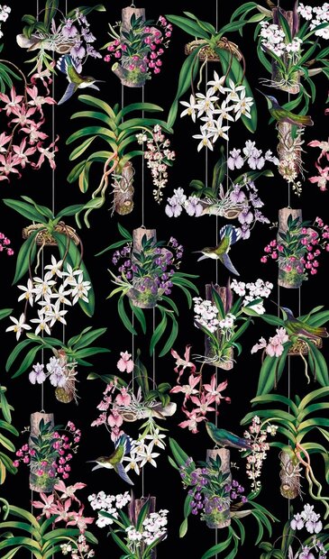 Noordwand Mona 81682 - Zwart / Roze