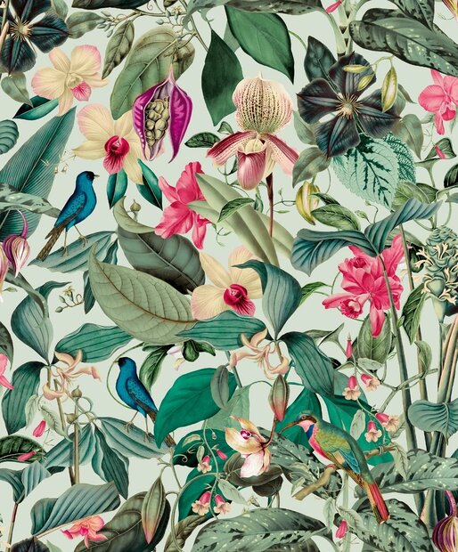 Noordwand Mona 81684 - Groen / Roze