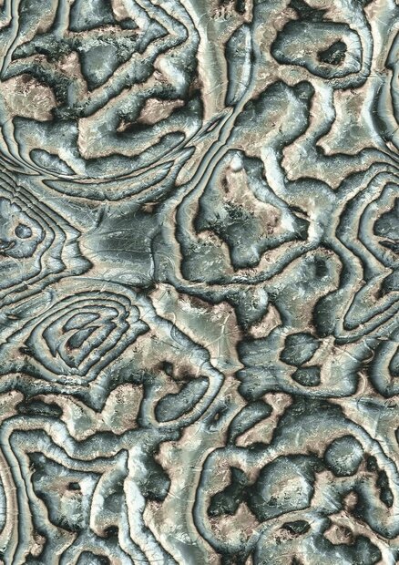 Noordwand Mona 81691 - Grijs / Beige