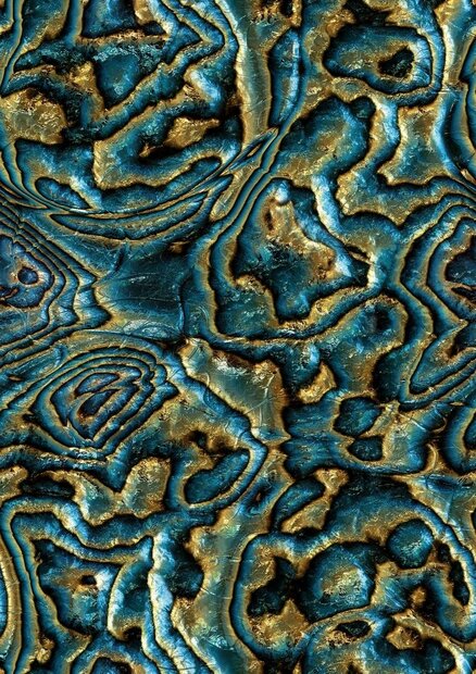 Noordwand Mona 81693 - Metallic / Zwart