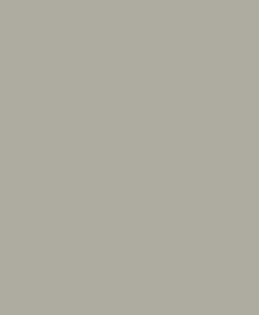 Noordwand The New Amsterdam Book 52222 - Grijs