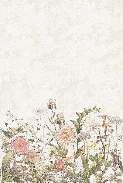 Bor&aring;stapeter Studio Dahlia 9418W