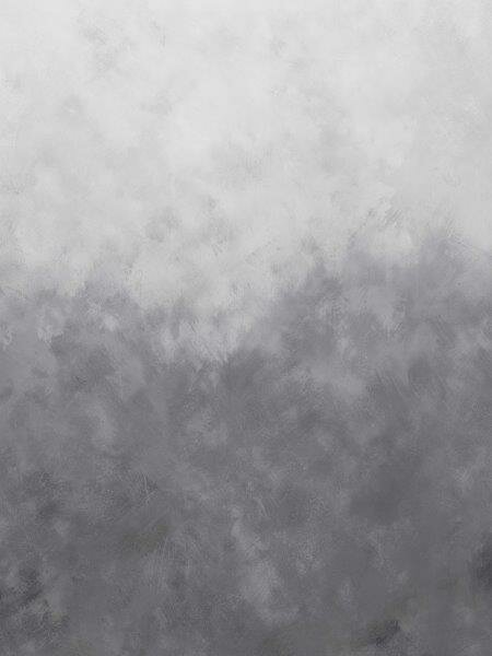 Bor&aring;stapeter Studio Gradient Painting 9422W