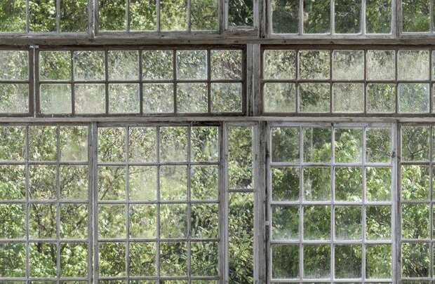 Bor&aring;stapeter Studio Greenhouse 9424W