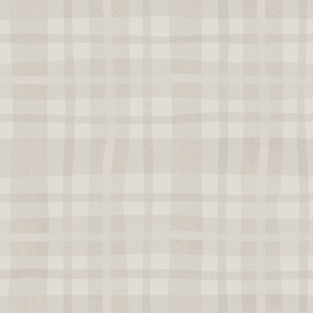 Dutch Wallcoverings Adventure Awaits Taupe 14002