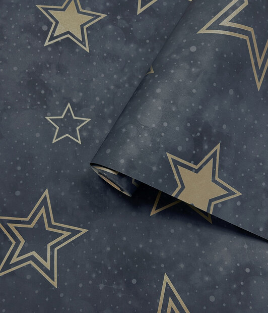 Dutch Wallcoverings Adventure Awaits Blauw Goud 14061