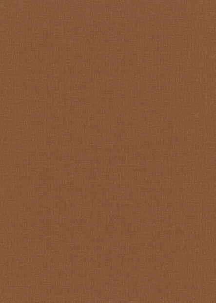 Dutch Wall Decor Colours &amp; Textures 27128 / 10444-13