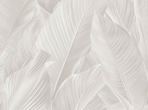 Dutch First Class Tahiti Banya 13301FC Wit