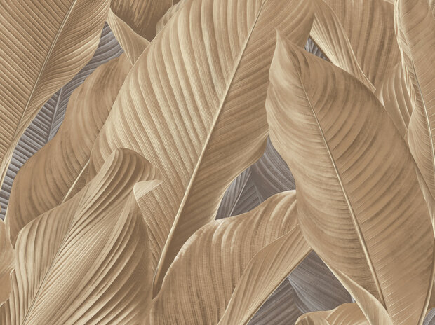 Dutch First Class Tahiti Banya 13303 Beige