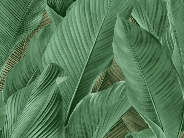 Dutch First Class Tahiti Banya 13304 Groen