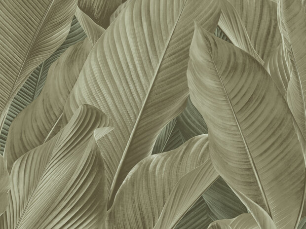 Dutch First Class Tahiti Banya 13306 Groen