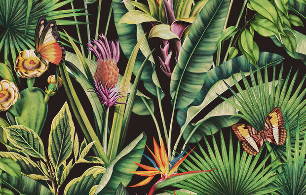 Dutch First Class Tahiti Fiori 13334 Multicolour