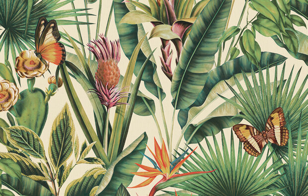 Dutch First Class Tahiti Fiori 13335 Multicolour