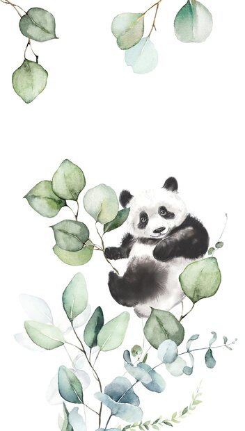 Rasch Kids World II 364835