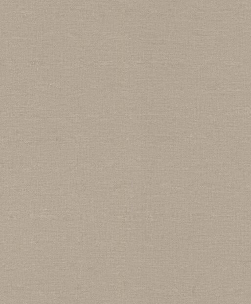 Rasch Liverna 555868