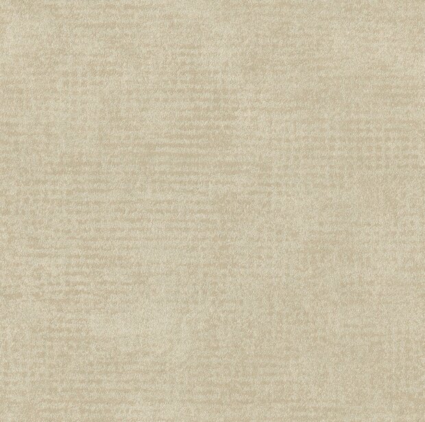 Arte Edition ED2019  (incl. Gratis Lijm*)