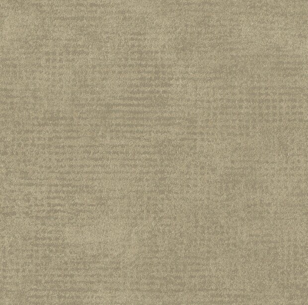 Arte Edition ED2525  (incl. Gratis Lijm*)