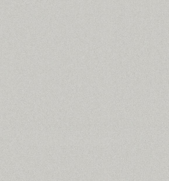 Arte High Performance Essence HPE210  (incl. Gratis Lijm*) Grijs