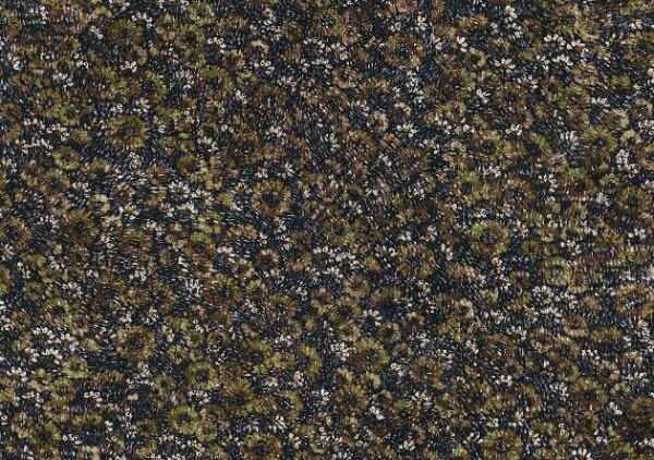 Arte Virginia's Garden VIR6502  (incl. Gratis Lijm*) Wit / Zwart / Groen