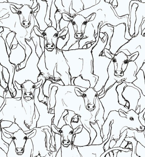 HookedOnWalls Marimekko Volume 05 14105  (incl. Gratis Lijm*)