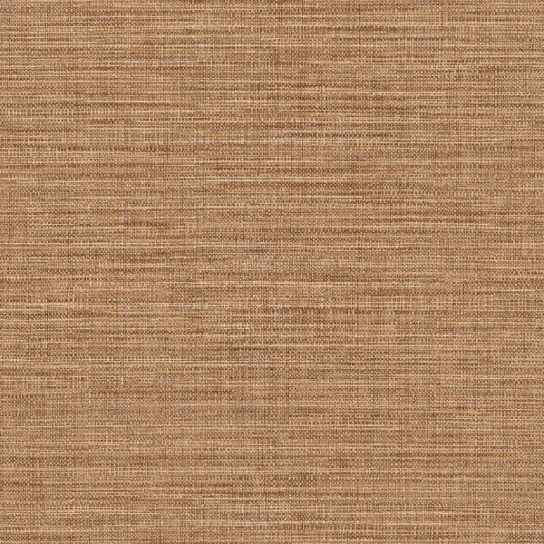 HookedOnWalls Tribu 29342  (incl. Gratis Lijm*)