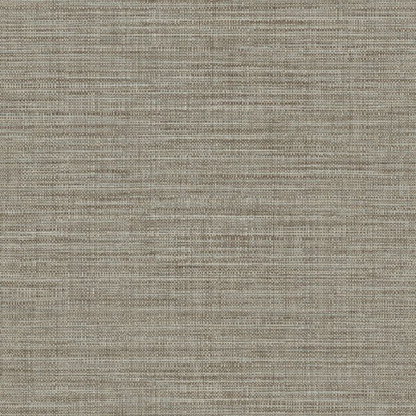 HookedOnWalls Tribu 29345  (incl. Gratis Lijm*)