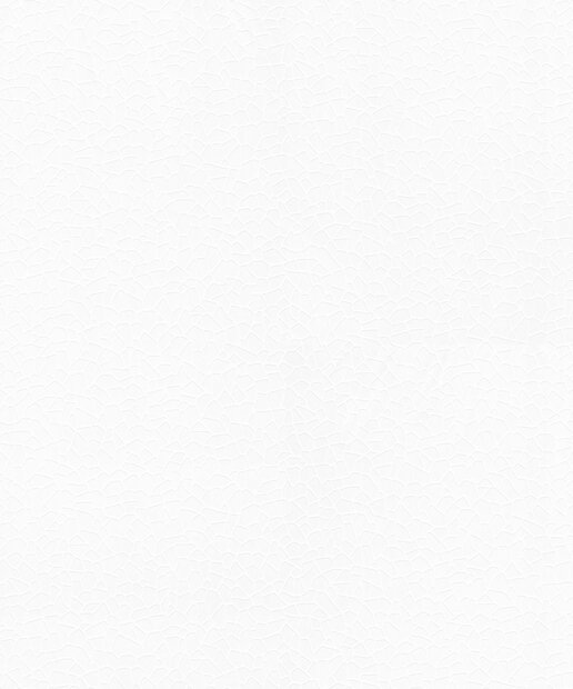 Arte Laser 9063  (incl. Gratis Lijm*)