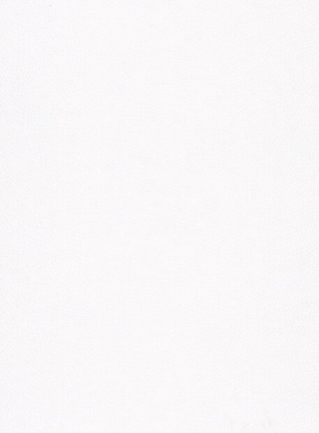 Arte Laser 9020  (incl. Gratis Lijm*)